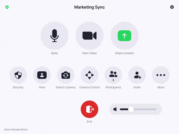 Screen sharing and collaboration
