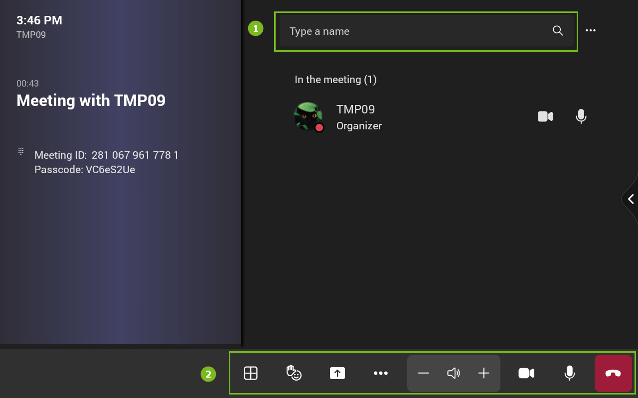 Meeting controls interface
